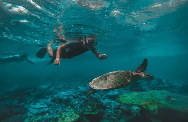 Fosters Resort Roatan Activities to do